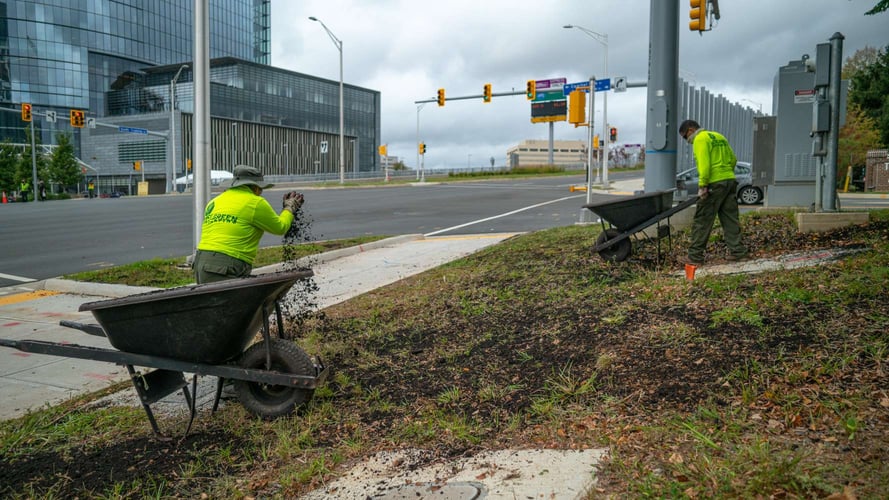 What Landscaping Jobs are Available With No Experience?